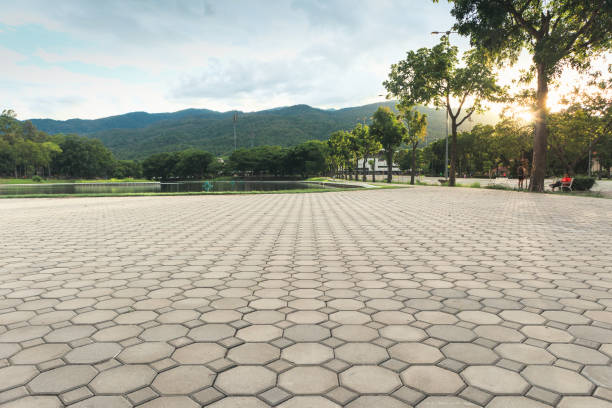Best Residential Driveway Paver Services  in Mountain View, NC
